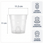 Maceta Transparente con Orificios