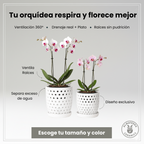 Macetas para Orquídeas
