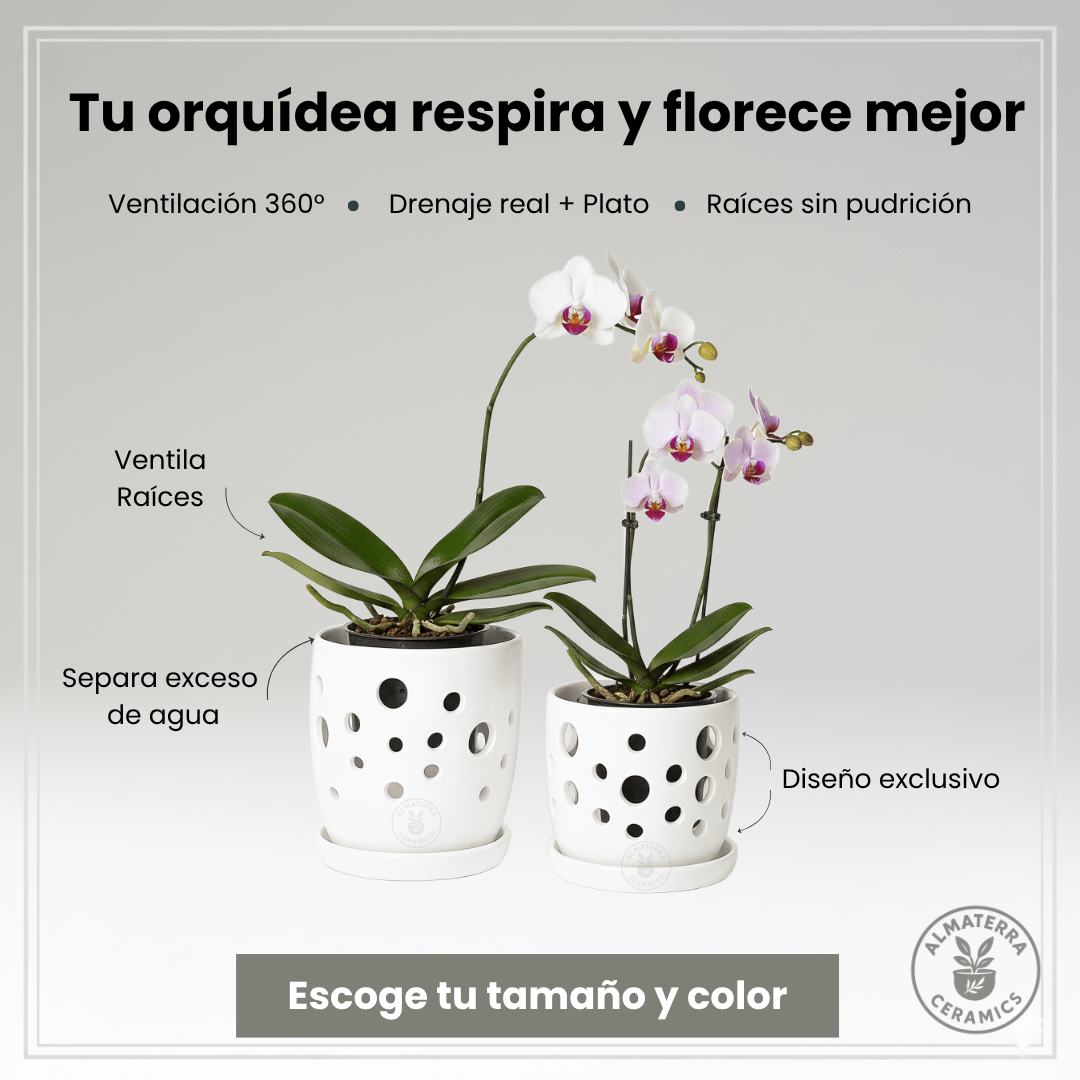 Macetas para Orquídeas