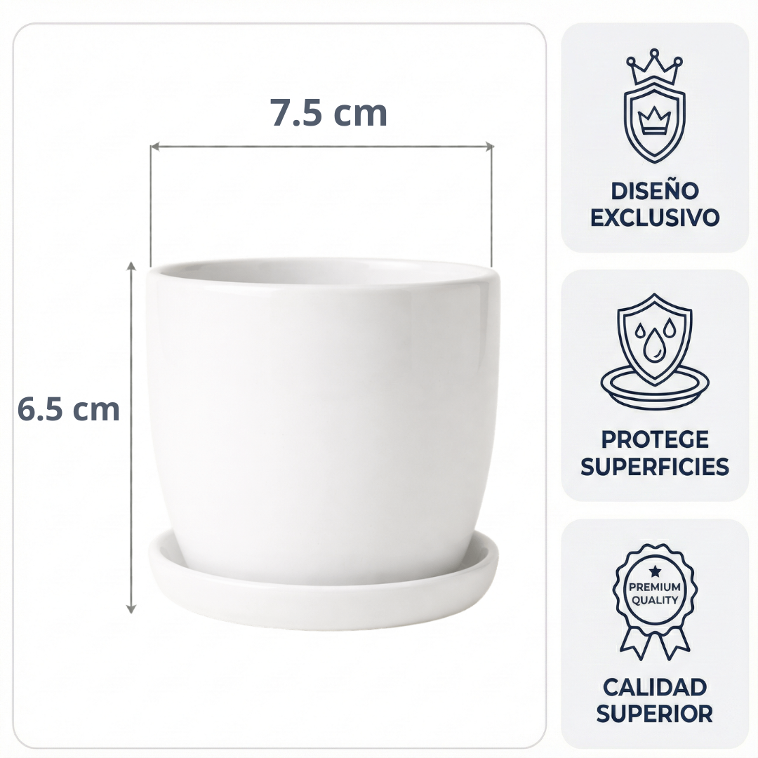 Maceta Orquídea