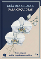 Pack Completo para el Cuidado de Orquídeas – Maceta Decorativa, Maceta Transparente, Fertilizante, Enraizador y Triple Acción