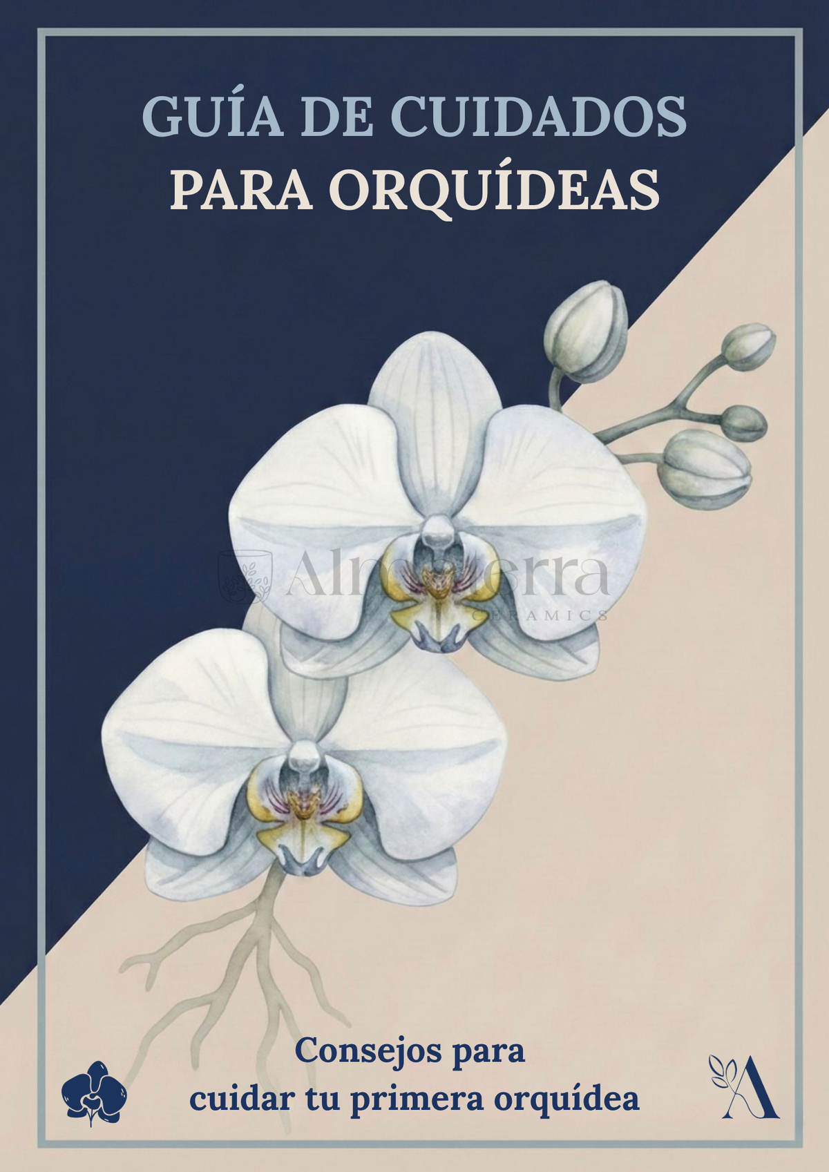 Pack Completo para el Cuidado de Orquídeas – Maceta Decorativa, Maceta Transparente, Fertilizante, Enraizador y Triple Acción