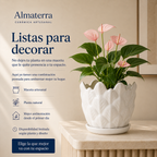 Maceta Multihoja
