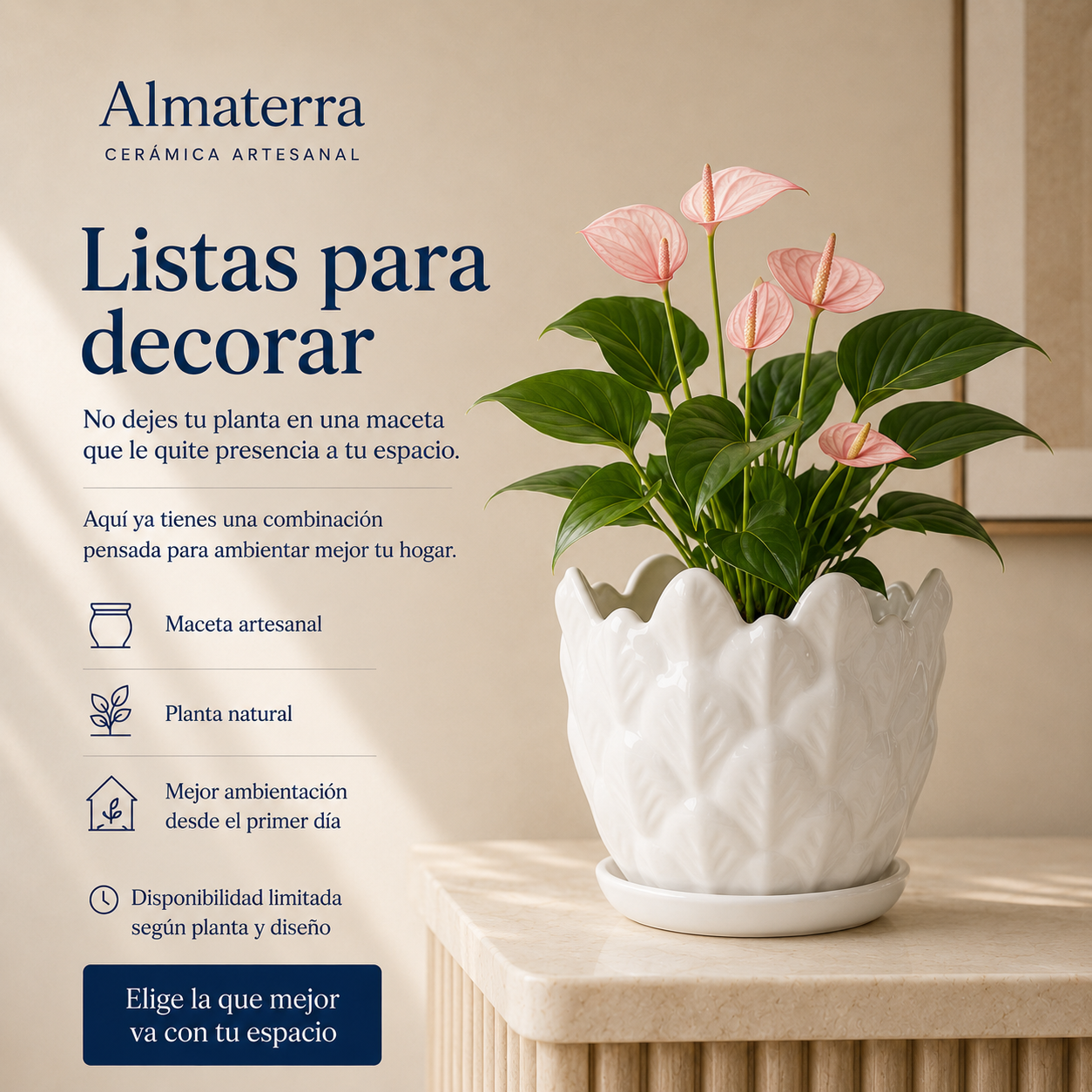 Maceta Multihoja