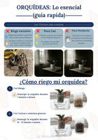 Pack Completo para el Cuidado de Orquídeas – Maceta Decorativa, Maceta Transparente, Fertilizante, Enraizador y Triple Acción