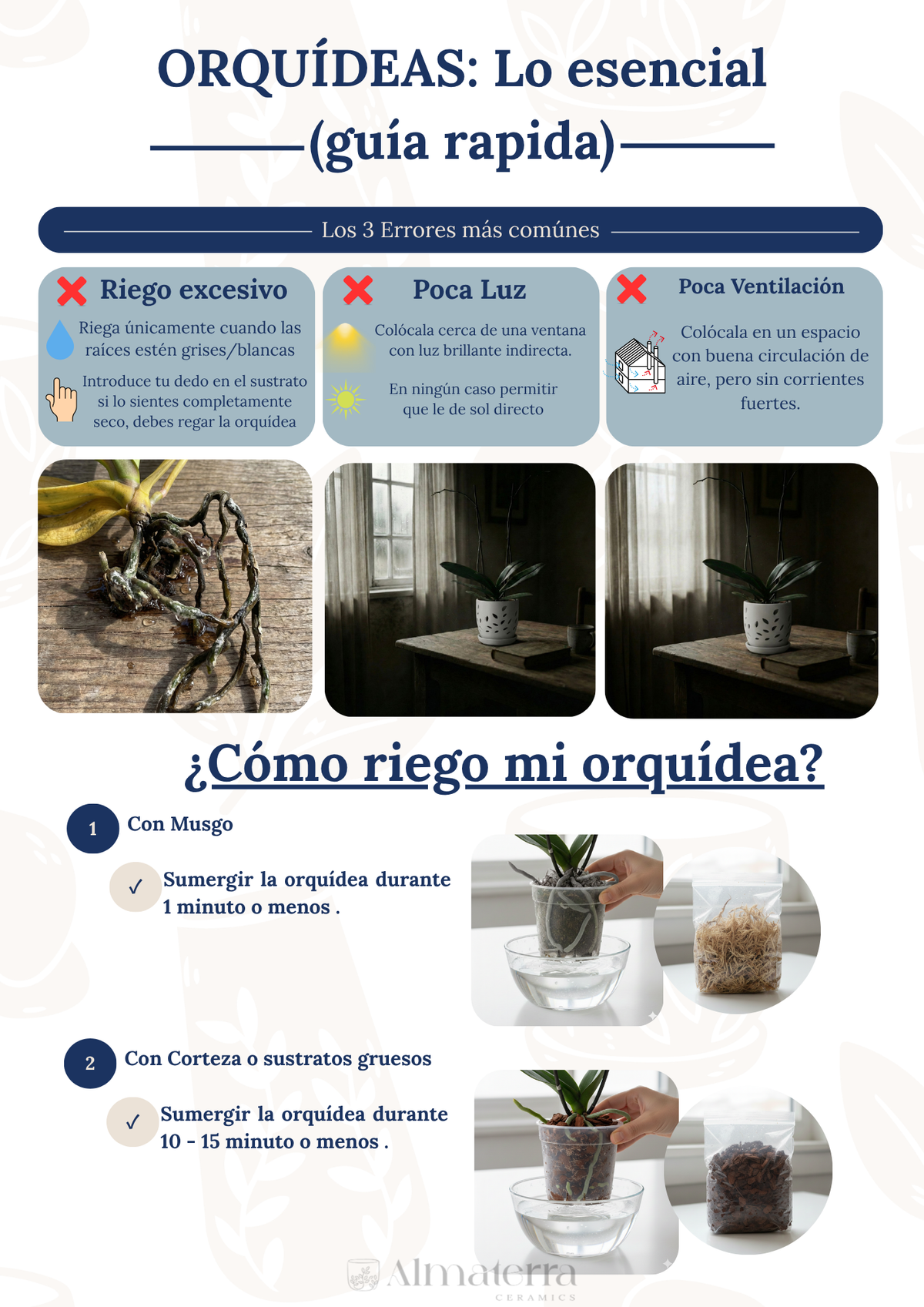 Pack Completo para el Cuidado de Orquídeas – Maceta Decorativa, Maceta Transparente, Fertilizante, Enraizador y Triple Acción