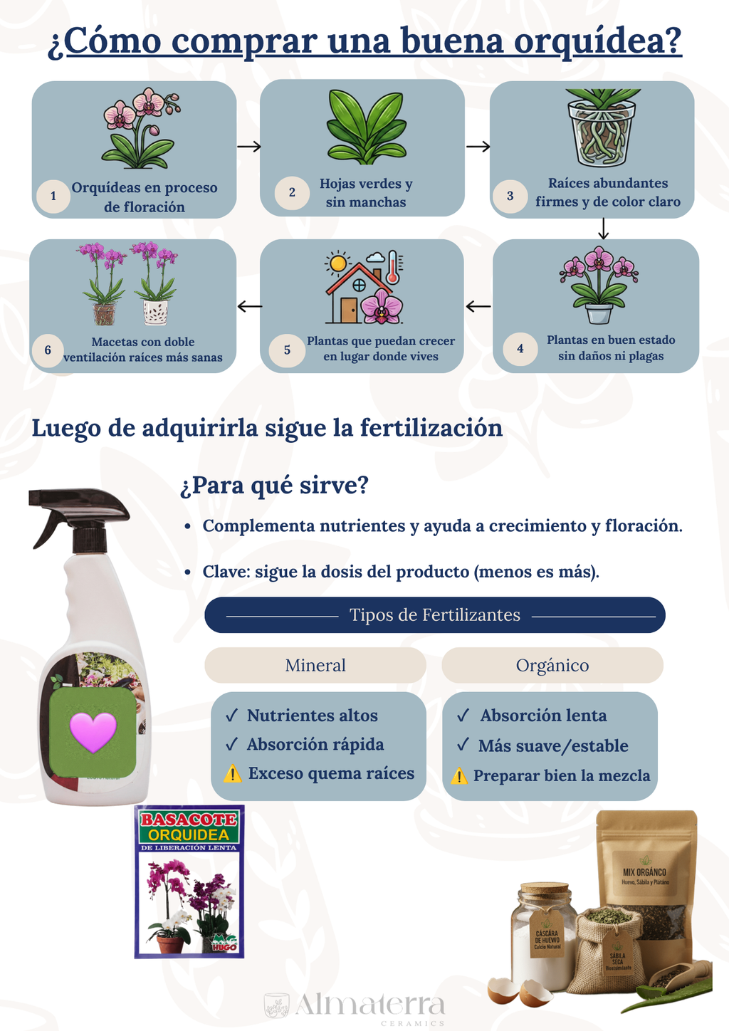 Pack Completo para el Cuidado de Orquídeas – Maceta Decorativa, Maceta Transparente, Fertilizante, Enraizador y Triple Acción