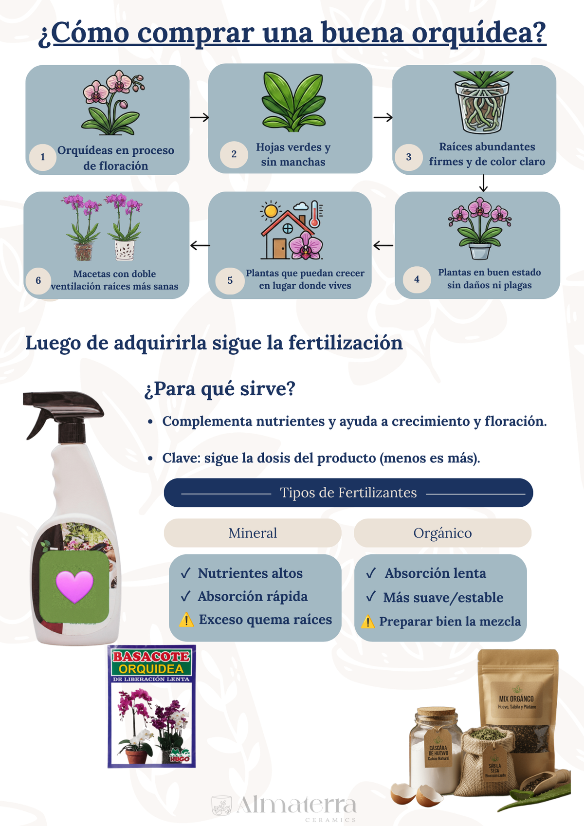 Pack Completo para el Cuidado de Orquídeas – Maceta Decorativa, Maceta Transparente, Fertilizante, Enraizador y Triple Acción