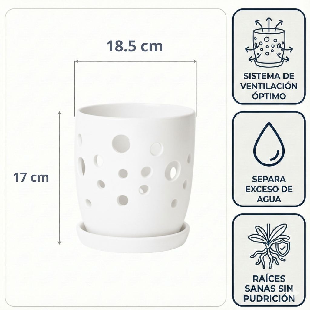 Macetas para Orquídeas