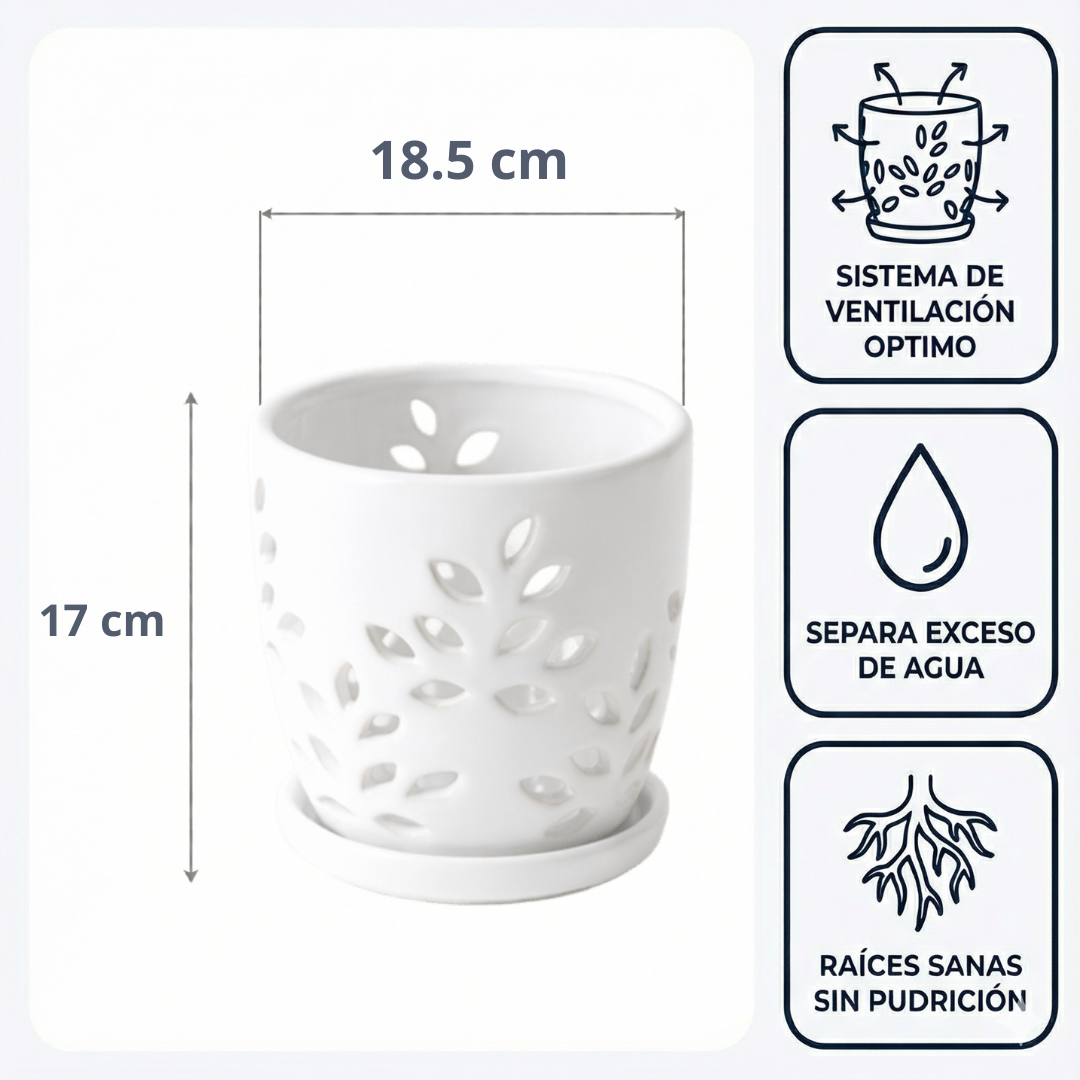 Maceta Aura