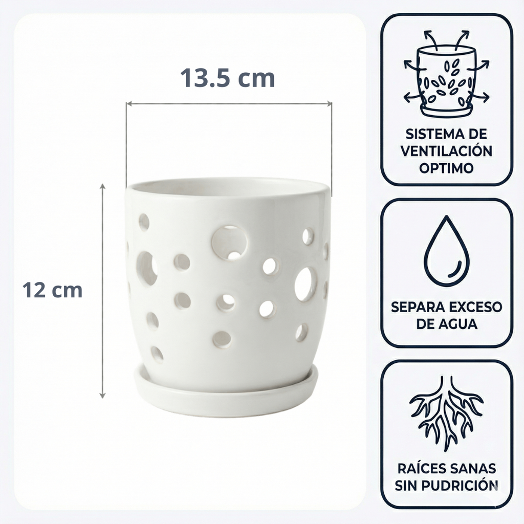Maceta Lunar