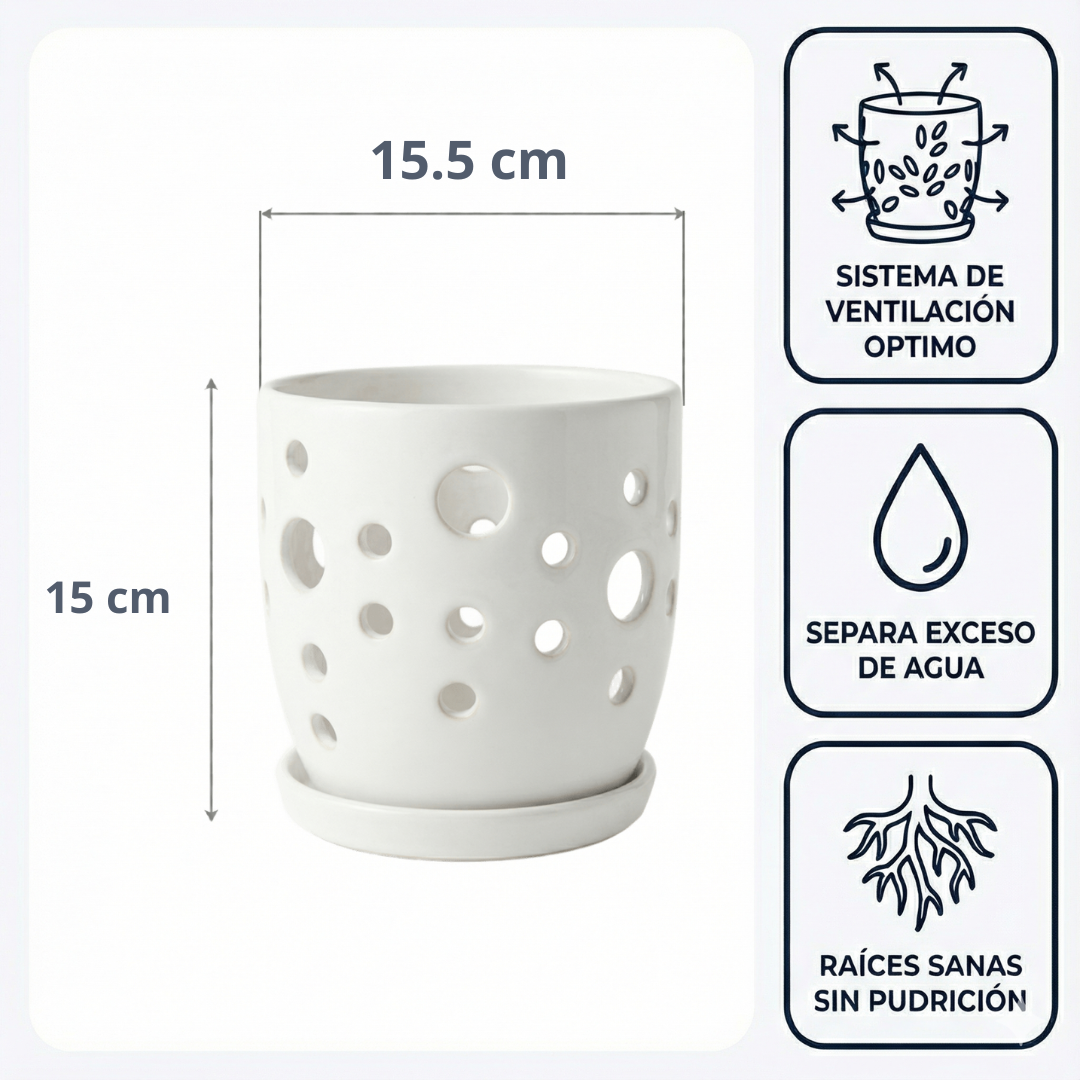 Maceta Lunar