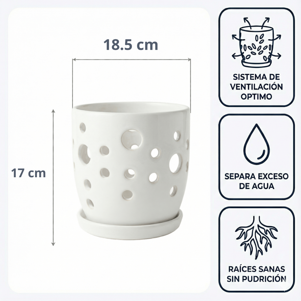 Maceta Lunar