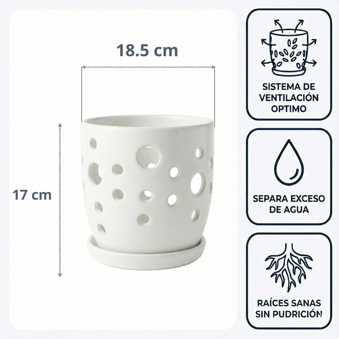 Maceta Lunar