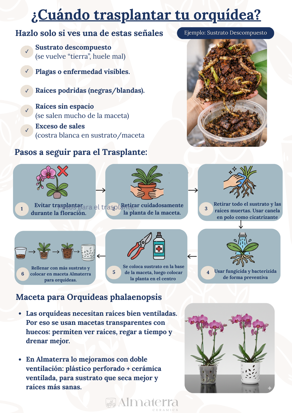 Pack Completo para el Cuidado de Orquídeas – Maceta Decorativa, Maceta Transparente, Fertilizante, Enraizador y Triple Acción