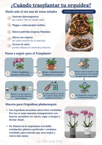 Pack Completo para el Cuidado de Orquídeas – Maceta Decorativa, Maceta Transparente, Fertilizante, Enraizador y Triple Acción