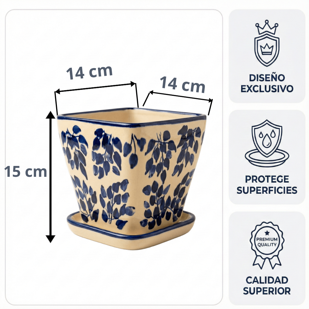 Maceta Ficus