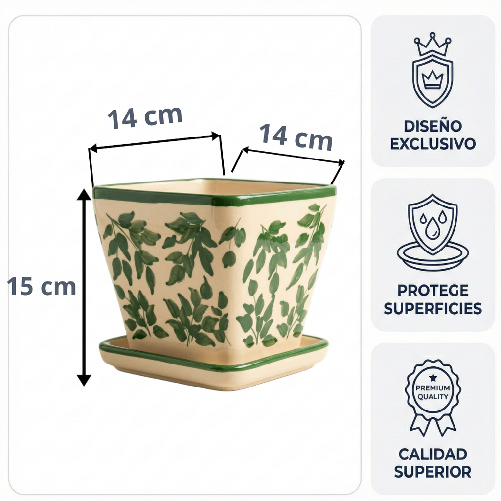 Maceta Ficus
