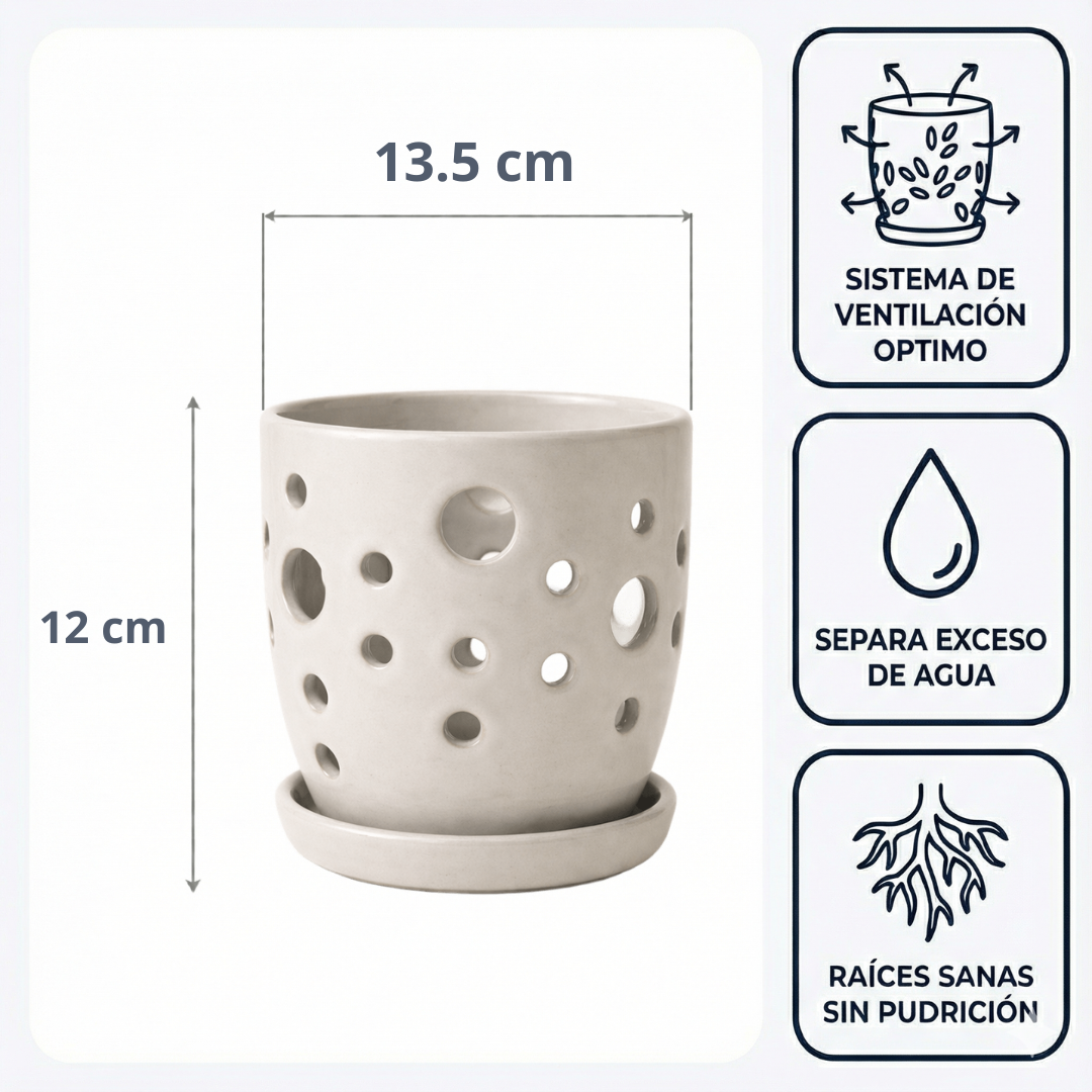 Maceta Lunar