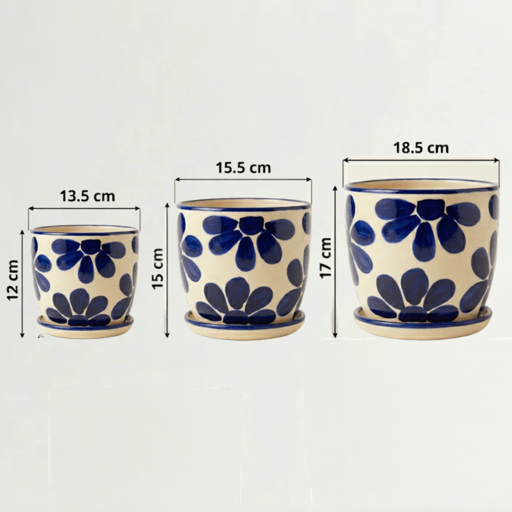 Pack Primavera azul