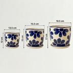 Pack Primavera azul