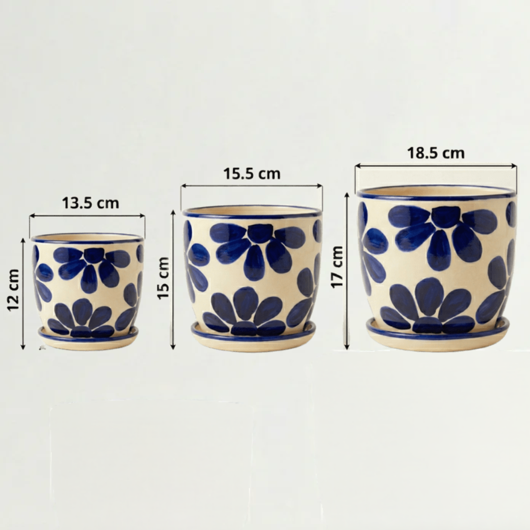 Pack Primavera azul