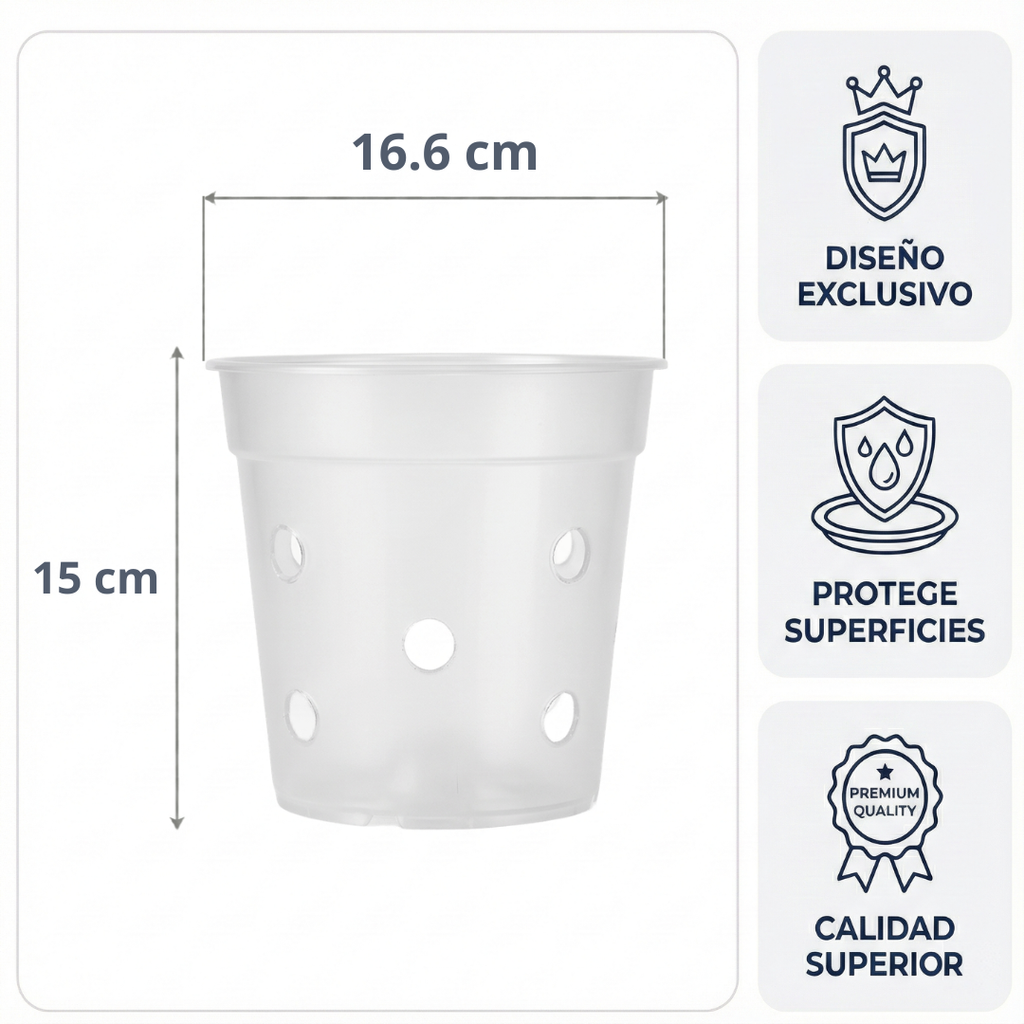 Maceta Transparente con Orificios