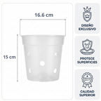 Maceta Transparente con Orificios