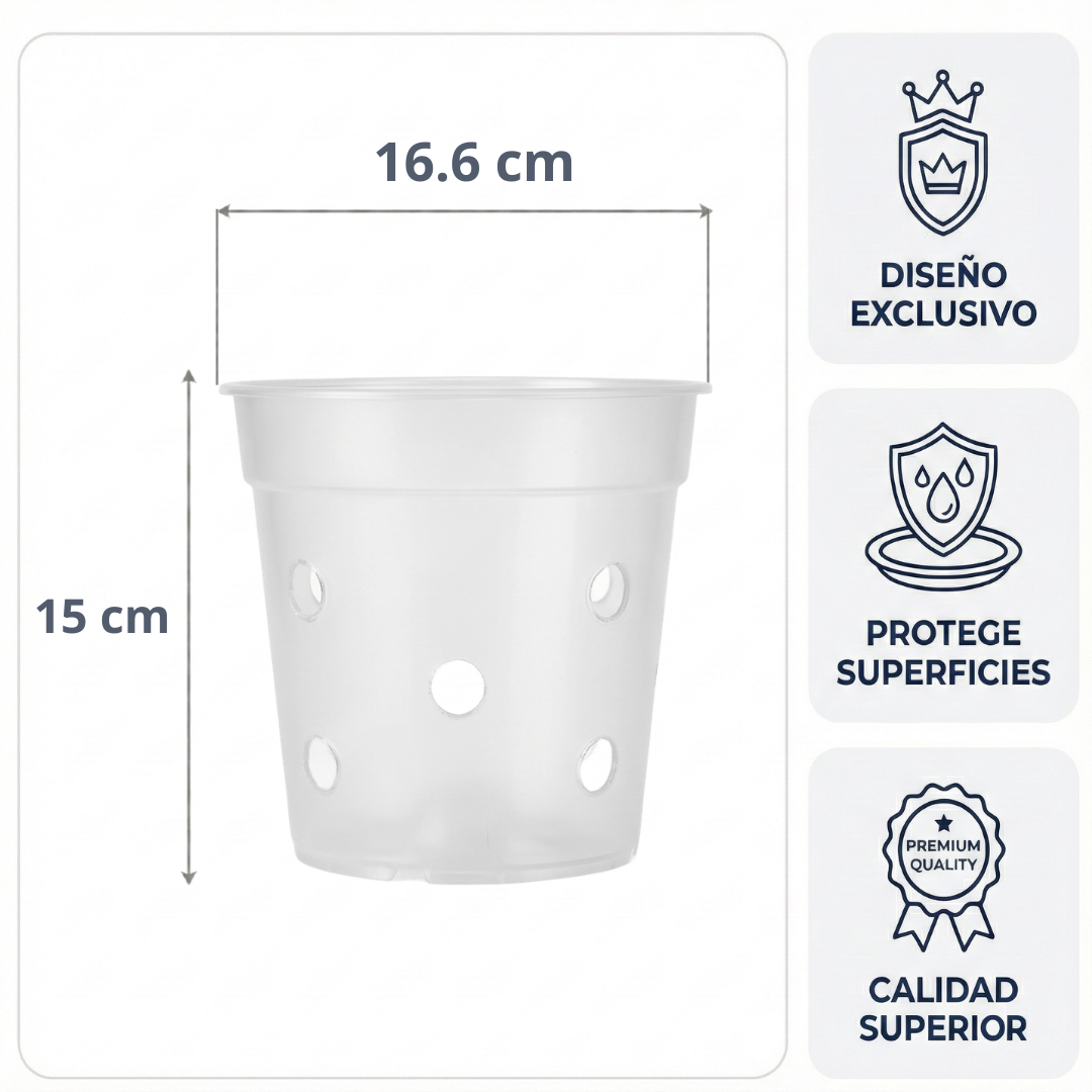 Maceta Transparente con Orificios