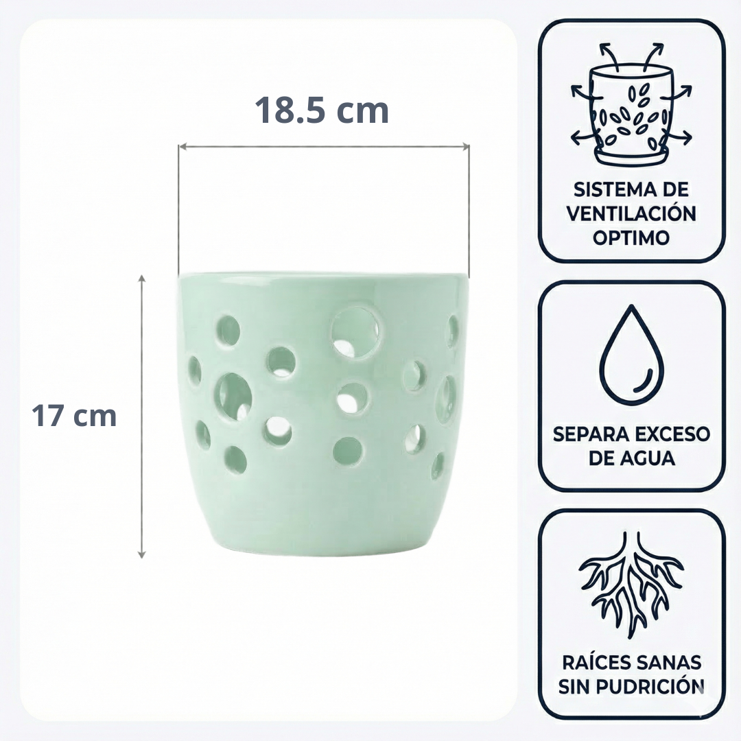 Maceta Lunar