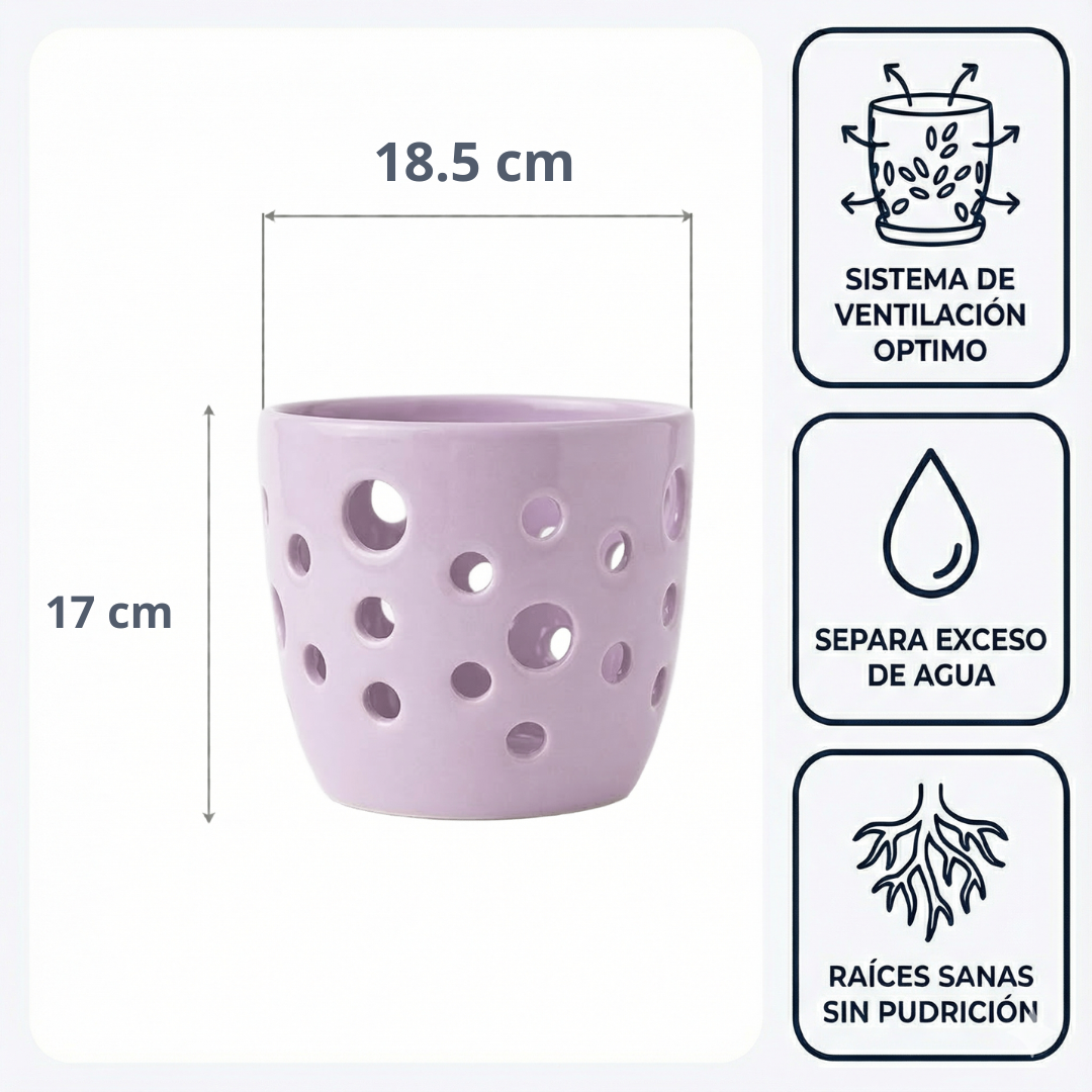 Maceta Lunar