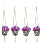 Soporte de cuerda para macetas colgantes