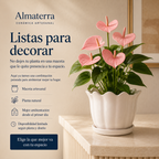 Maceta Azucena