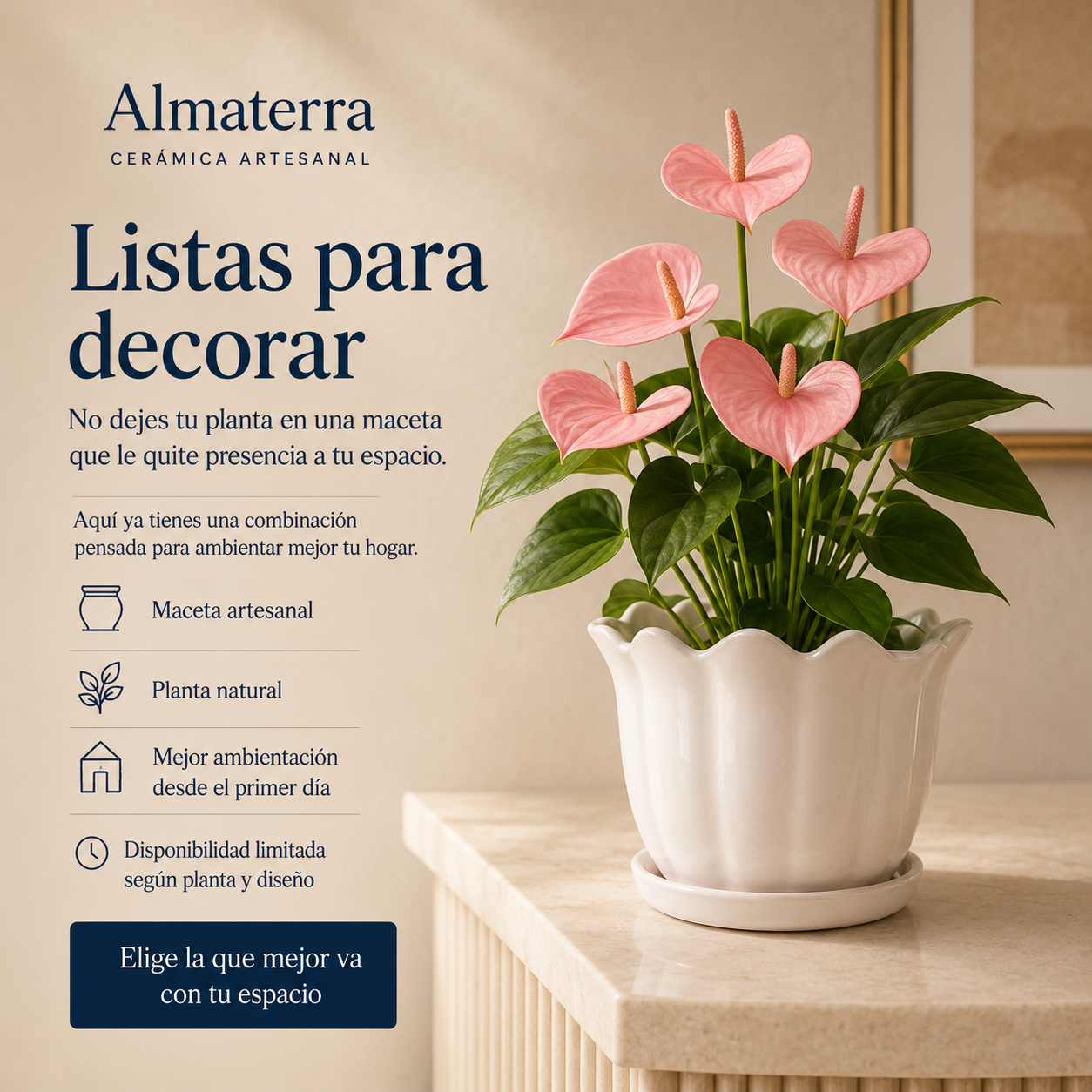 Maceta Azucena