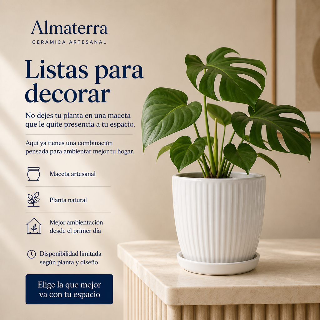 Maceta Lineal