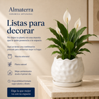 Maceta Bolita