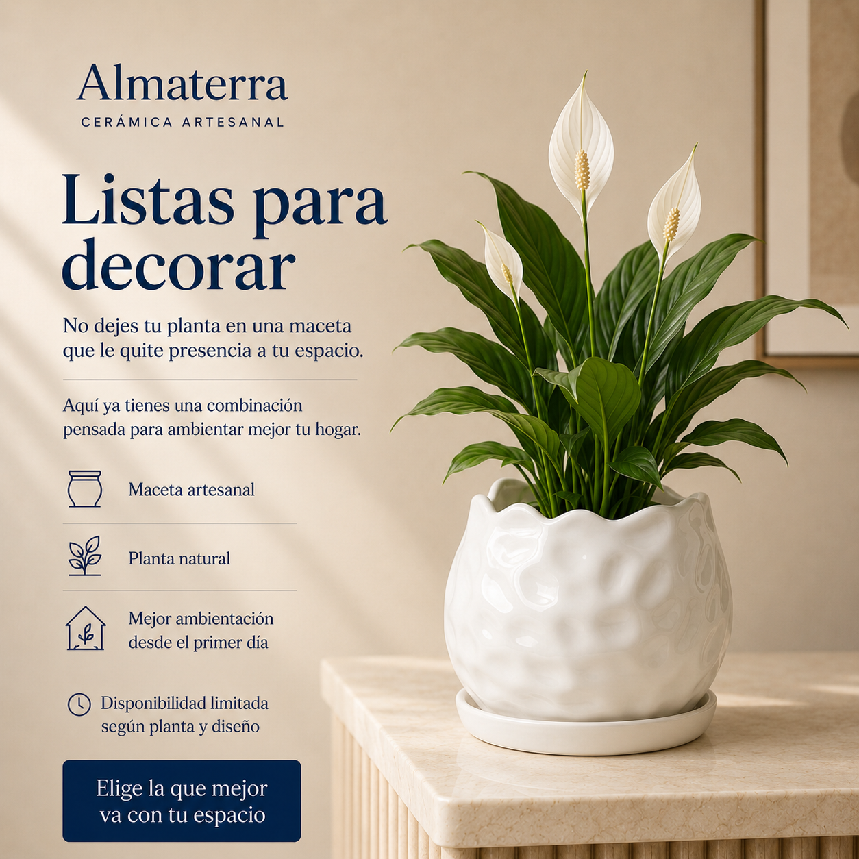 Maceta Bolita
