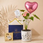 Anturio Rosado con Maceta Artesanal