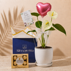 Mini Anturio Amarillo con Maceta Artesanal