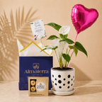 Anturio Blanco con Maceta Artesanal