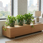 Pack Primavera Verde