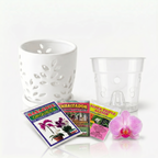 Pack Completo para el Cuidado de Orquídeas – Maceta Decorativa, Maceta Transparente, Fertilizante, Enraizador y Triple Acción