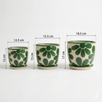 Pack Primavera Verde