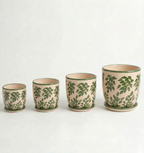 Pack Floral Verde