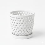 Macetas para Orquídeas