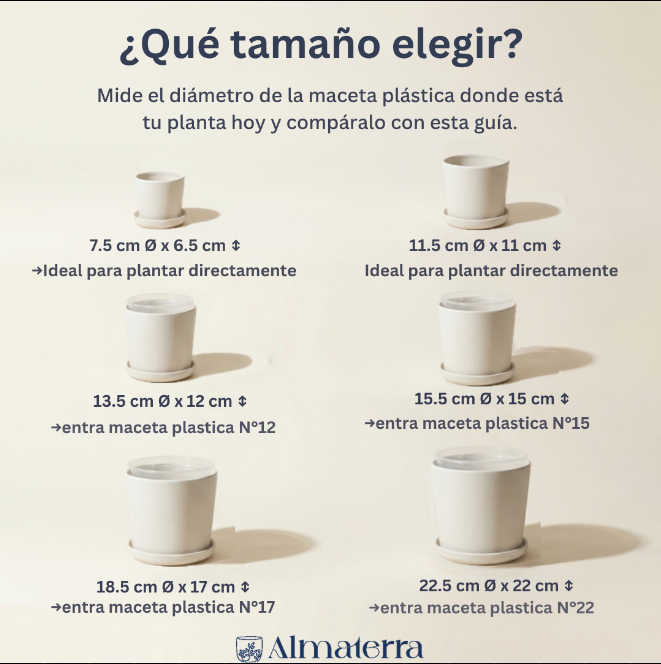 Maceta Eclipse