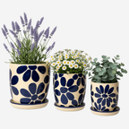 Maceta Primavera Azul