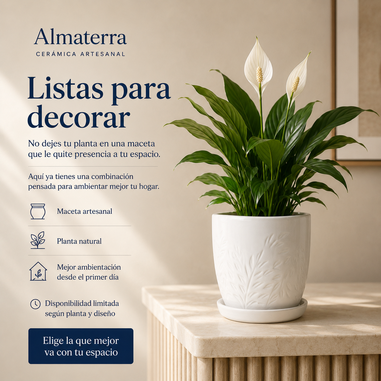 Maceta Fronda