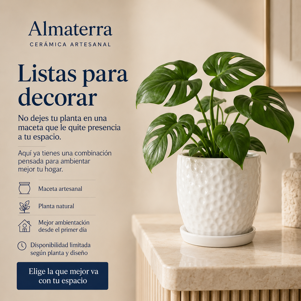 Maceta Lume
