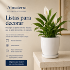 Maceta Orquídea